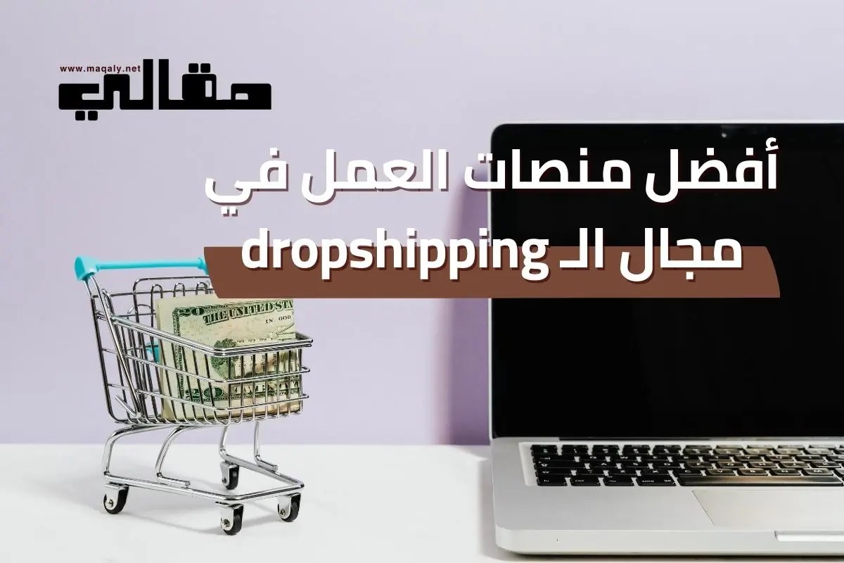 أفضل منصات العمل في مجال ال dropshipping