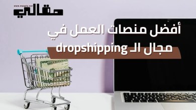 أفضل منصات العمل في مجال ال dropshipping