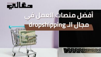 أفضل منصات العمل في مجال ال dropshipping